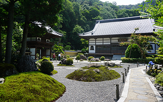 Zazen Image