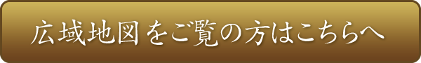グーグルマップ